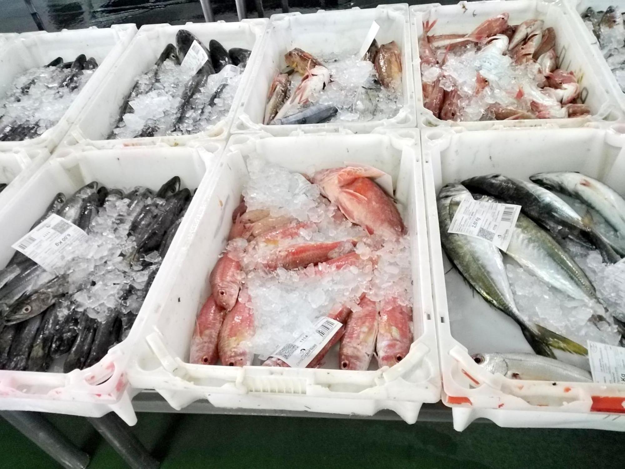Terra Do Mar Atico Nuevo En Costa Da Morte, Camino De Los Faros Ponteceso Eksteriør bilde